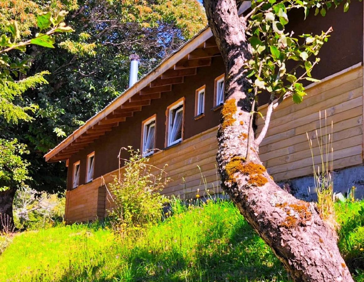 Elementos Eco Lodge Pucon Exterior photo